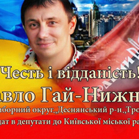 Павло Гай-Нижник - кандидат в депутати до Київської міської ради
